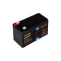 Батарея LiFePo4 GEAR 12.8V - 9Ah (GB-LiFePo4-12.8-9) Батарея LiFePo4 GEAR 12.8V - 9Ah (GB-LiFePo4-12.8-9)