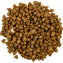 Сухий корм для кішок Savory Adult Cat Steril Fresh Lamb and Chicken 2 кг (4820232630112) Сухий корм для кішок Savory Adult Cat Steril Fresh Lamb and Chicken 2 кг (4820232630112)