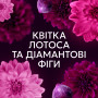 Кондиціонер для білизни Lenor Квітка лотоса та діамантовий інжир 675 мл (8700216723664) Кондиціонер для білизни Lenor Квітка лотоса та діамантовий інжир 675 мл (8700216723664)