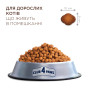 Сухий корм для кішок Club 4 Paws Premium що мешкають у приміщенні "4в1" 2 кг (4820215368780) Сухий корм для кішок Club 4 Paws Premium що мешкають у приміщенні "4в1" 2 кг (4820215368780)