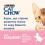 Сухий корм для кішок Purina Cat Chow Kitten з куркою 15 кг (5997204514028) Сухий корм для кішок Purina Cat Chow Kitten з куркою 15 кг (5997204514028)