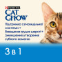 Сухий корм для кішок Purina Cat Chow Feline 3 в 1 з індичкою 1.5 кг (7613034155139) Сухий корм для кішок Purina Cat Chow Feline 3 в 1 з індичкою 1.5 кг (7613034155139)