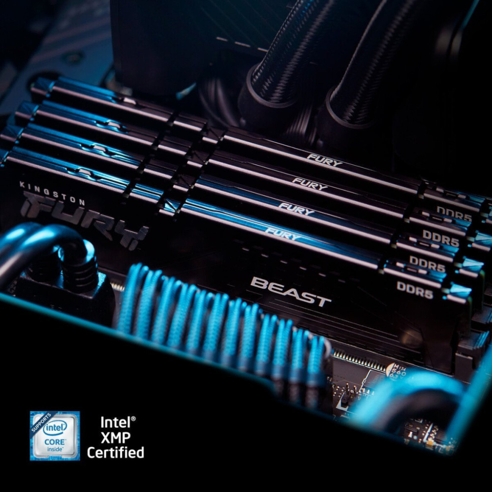 Модуль пам'яті для комп'ютера DDR5 32GB (2x16GB) 5600 MHz Beast AM5 Black Kingston Fury (ex.HyperX) (KF556C36BBEK2-32)