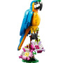 Конструктор LEGO Creator Екзотичний папуга 253 деталі (31136) Конструктор LEGO Creator Екзотичний папуга 253 деталі (31136)