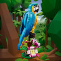 Конструктор LEGO Creator Екзотичний папуга 253 деталі (31136) Конструктор LEGO Creator Екзотичний папуга 253 деталі (31136)