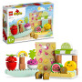 Конструктор LEGO DUPLO My First Органічний ринок 40 деталей (10983) Конструктор LEGO DUPLO My First Органічний ринок 40 деталей (10983)