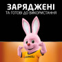 Акумулятор Duracell AA HR6 1300mAh * 4 (5007324) Акумулятор Duracell AA HR6 1300mAh * 4 (5007324)