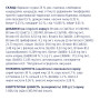 Сухий корм для собак Club 4 Paws Преміум. Актив 14 кг (4820083909559) Сухий корм для собак Club 4 Paws Преміум. Актив 14 кг (4820083909559)