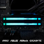 Модуль пам'яті для комп'ютера DDR5 32GB 5200 MHz Beast RGB EXPO Kingston Fury (ex.HyperX) (KF552C36BBEA-32) Модуль пам'яті для комп'ютера DDR5 32GB 5200 MHz Beast RGB EXPO Kingston Fury (ex.HyperX) (KF552C36BBEA-32)