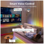 Світлодіодна стрічка Govee RGBIC Basic Wi-Fi + Bluetooth LED Strip Light With Protective Coating 10м Білий (H619C3D1) Світлодіодна стрічка Govee RGBIC Basic Wi-Fi + Bluetooth LED Strip Light With Protective Coating 10м Білий (H619C3D1)