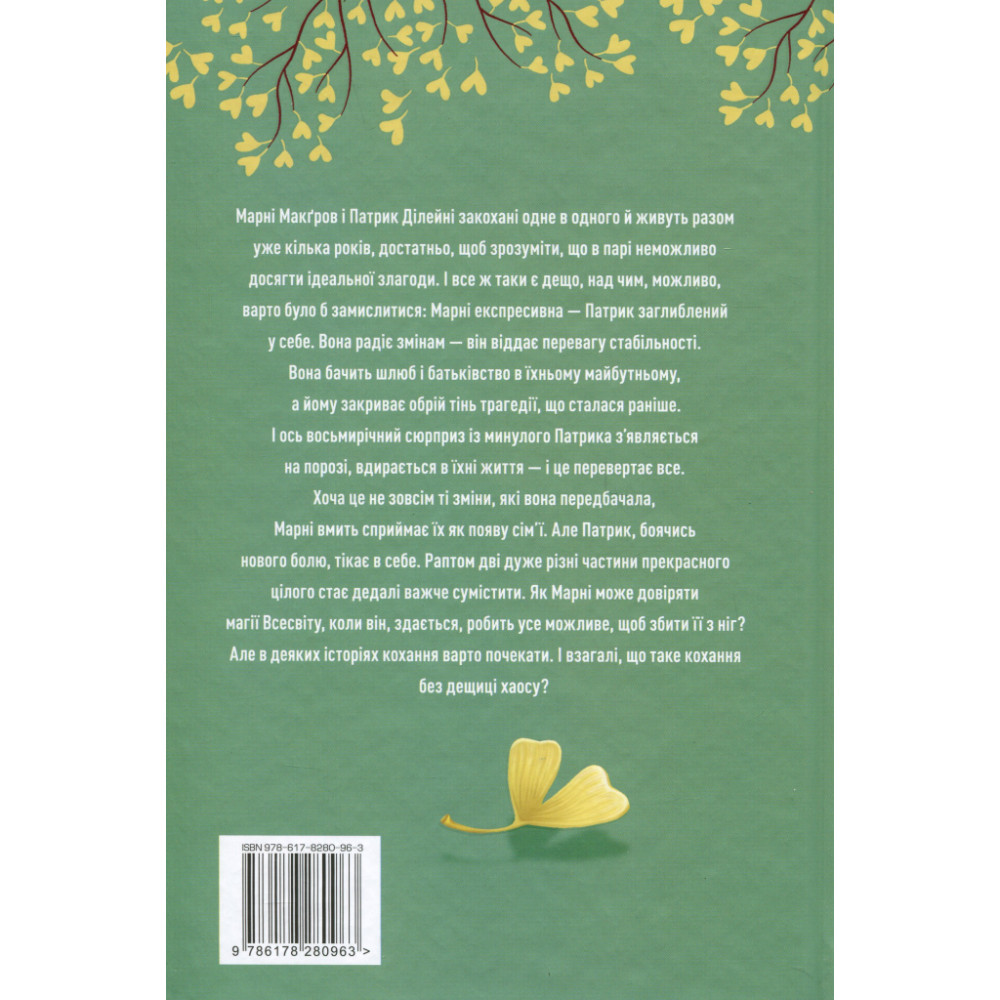 Книга Щаслива катастрофа - Медді Довсон Видавництво РМ (9786178280963)