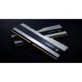 Модуль пам'яті для комп'ютера DDR5 32GB (2x16GB) 7200 MHz Trident Z5 RGB Silver G.Skill (F5-7200J3445G16GX2-TZ5RS) Модуль пам'яті для комп'ютера DDR5 32GB (2x16GB) 7200 MHz Trident Z5 RGB Silver G.Skill (F5-7200J3445G16GX2-TZ5RS)