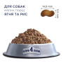 Сухий корм для собак Club 4 Paws Преміум. Для дрібних порід - ягня і рис 2 кг (4820083909603) Сухий корм для собак Club 4 Paws Преміум. Для дрібних порід - ягня і рис 2 кг (4820083909603)