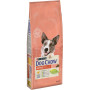 Сухий корм для собак Purina Dog Chow Active Adult зі смаком курки 14 кг (7613034487933) Сухий корм для собак Purina Dog Chow Active Adult зі смаком курки 14 кг (7613034487933)