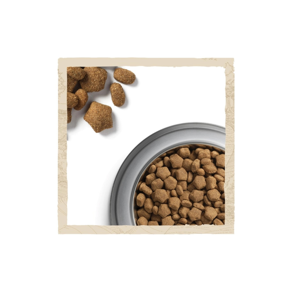 Сухий корм для собак Purina Dog Chow для дорослих, схильних до алергії собак з лососем 2.5 кг (7613034488268)