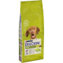 Сухий корм для собак Purina Dog Chow Adult Lamb зі смаком ягняти 14 кг (7613034487636) Сухий корм для собак Purina Dog Chow Adult Lamb зі смаком ягняти 14 кг (7613034487636)