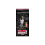 Сухий корм для собак Purina Pro Plan Dog Medium Adult Sensitive Skin з лососем і рисом 14 кг (7613035120464) Сухий корм для собак Purina Pro Plan Dog Medium Adult Sensitive Skin з лососем і рисом 14 кг (7613035120464)