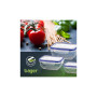 Харчовий контейнер Bager Cook&Lock квадрат 0.6 л (BG-555) Харчовий контейнер Bager Cook&Lock квадрат 0.6 л (BG-555)