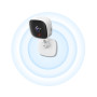 Камера відеоспостереження TP-Link Tapo C100 (TAPO-C100) Камера відеоспостереження TP-Link Tapo C100 (TAPO-C100)