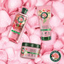 Набір косметики Herbal Essences Rose Petal Soft Шампунь 350 мл + Бальзам-ополіскувач 250 мл + Маска для волосся 300 мл (8700216614399) Набір косметики Herbal Essences Rose Petal Soft Шампунь 350 мл + Бальзам-ополіскувач 250 мл + Маска для волосся 300 мл (8700216614399)