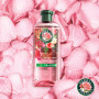 Набір косметики Herbal Essences Rose Petal Soft Шампунь 350 мл + Бальзам-ополіскувач 250 мл + Маска для волосся 300 мл (8700216614399) Набір косметики Herbal Essences Rose Petal Soft Шампунь 350 мл + Бальзам-ополіскувач 250 мл + Маска для волосся 300 мл (8700216614399)