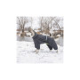 Комбінезон для тварин Pet Fashion "COLD" M (сірий) (4823082426294)