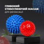 Масажний м'яч PowerPlay PP-4341 Massage Ball набір 2 шт (PP_4341) Масажний м'яч PowerPlay PP-4341 Massage Ball набір 2 шт (PP_4341)
