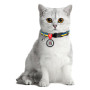 Нашийник для тварин WAUDOG Colors of freedom з QR паспортом XS 20-30 см (5210-4020) Нашийник для тварин WAUDOG Colors of freedom з QR паспортом XS 20-30 см (5210-4020)