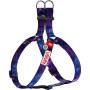 Шлея для собак WAUDOG Nylon з QR-паспортом "NASA21" M (4801-0148) Шлея для собак WAUDOG Nylon з QR-паспортом "NASA21" M (4801-0148)