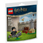 Конструктор LEGO Harry Potter Урок з Квідичу (30706) Конструктор LEGO Harry Potter Урок з Квідичу (30706)