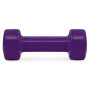 Гантель PowerPlay 4125 Achilles 2.5 кг Фіолетова (PP_4125_2.5kg) Гантель PowerPlay 4125 Achilles 2.5 кг Фіолетова (PP_4125_2.5kg)