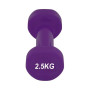 Гантель PowerPlay 4125 Achilles 2.5 кг Фіолетова (PP_4125_2.5kg) Гантель PowerPlay 4125 Achilles 2.5 кг Фіолетова (PP_4125_2.5kg)