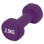 Гантель PowerPlay 4125 Achilles 2.5 кг Фіолетова (PP_4125_2.5kg) Гантель PowerPlay 4125 Achilles 2.5 кг Фіолетова (PP_4125_2.5kg)