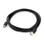 Кабель для принтера USB 2.0 AM/BM 3.0 m Vinga (VCPDCAMBM3.0BK) Кабель для принтера USB 2.0 AM/BM 3.0 m Vinga (VCPDCAMBM3.0BK)