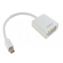Перехідник Mini DisplayPort to DVI 0.15m Extradigital (KBD1677) Перехідник Mini DisplayPort to DVI 0.15m Extradigital (KBD1677)