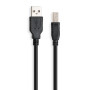 Кабель для принтера USB 2.0 AM/BM 1.8 m Vinga (VCPDCAMBM1.8BK) Кабель для принтера USB 2.0 AM/BM 1.8 m Vinga (VCPDCAMBM1.8BK)