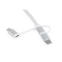Дата кабель USB 2.0 AM to Lightning + Micro 5P + USB-C 1.0m Cablexpert (CC-USB2-AMLM32-1M-W) Дата кабель USB 2.0 AM to Lightning + Micro 5P + USB-C 1.0m Cablexpert (CC-USB2-AMLM32-1M-W)