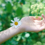 Гігієнічні прокладки Naturella Ultra Normal 10 шт (4015400125037) Гігієнічні прокладки Naturella Ultra Normal 10 шт (4015400125037)