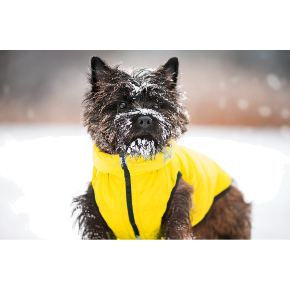 Курточка для тварин Collar AiryVest "Colors of freedom" XS 25 (4440-4020)