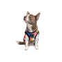 Борцівка для тварин Pet Fashion Cool M різнобарвна (4823082420193) Борцівка для тварин Pet Fashion Cool M різнобарвна (4823082420193)