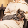 Жилет для тварин Pet Fashion Harry XS2 (4823082430109) Жилет для тварин Pet Fashion Harry XS2 (4823082430109)
