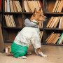 Костюм для тварин Pet Fashion Pf Style S (4823082427956) Костюм для тварин Pet Fashion Pf Style S (4823082427956)