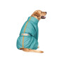 Комбінезон для тварин Pet Fashion «Cold» для такс XS (бірюзовий) (4823082425365) Комбінезон для тварин Pet Fashion «Cold» для такс XS (бірюзовий) (4823082425365)