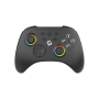 Геймпад GamePro GPX13B 2.4G/BT 5.1/USB/PC/iOS/Android RGB Black (GPX13B) Геймпад GamePro GPX13B 2.4G/BT 5.1/USB/PC/iOS/Android RGB Black (GPX13B)