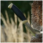 Ніж Morakniv Companion S Desert Sandvik 12C27 (13166)