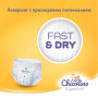 Підгузки Chicolino Super Soft Розмір 5 (12-17 кг) 34 шт (4823098414452) Підгузки Chicolino Super Soft Розмір 5 (12-17 кг) 34 шт (4823098414452)