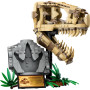 Конструктор LEGO Jurassic World Скамʼянілості динозаврів: череп тиранозавра 577 деталей (76964) Конструктор LEGO Jurassic World Скамʼянілості динозаврів: череп тиранозавра 577 деталей (76964)