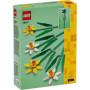 Конструктор LEGO Iconic Нарциси 216 деталей (40747) Конструктор LEGO Iconic Нарциси 216 деталей (40747)