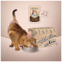 Вологий корм для кішок Club 4 Paws Paws Selection Преміум Шматочки з куркою та телятиною в соусі 80 г (4820215368018) Вологий корм для кішок Club 4 Paws Paws Selection Преміум Шматочки з куркою та телятиною в соусі 80 г (4820215368018)