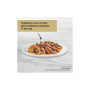 Вологий корм для кішок Purina Gourmet Gold. Подвійне задоволення з качкою та індичкою 85г (7613031381050) Вологий корм для кішок Purina Gourmet Gold. Подвійне задоволення з качкою та індичкою 85г (7613031381050)